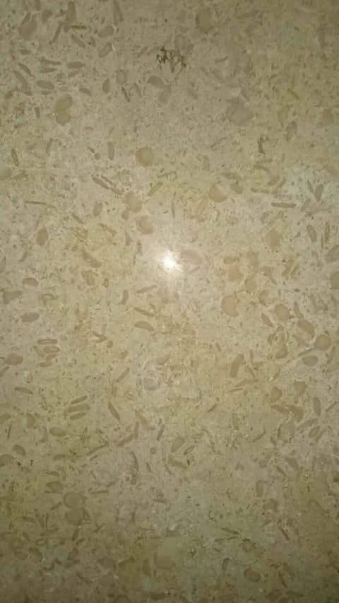 Close-up of polished Sunny Minya marble with fossil traces