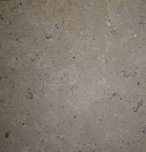 Close-up of Sinai Pearl (Triesta) marble with fossil pattern
